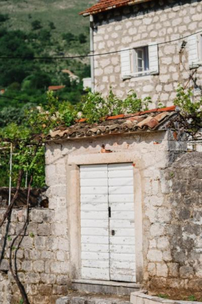 White Shutters House